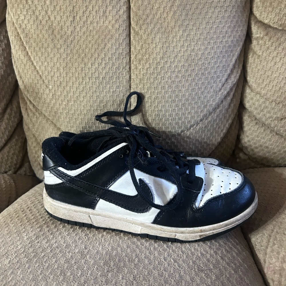 Nike Dunk Sneakers